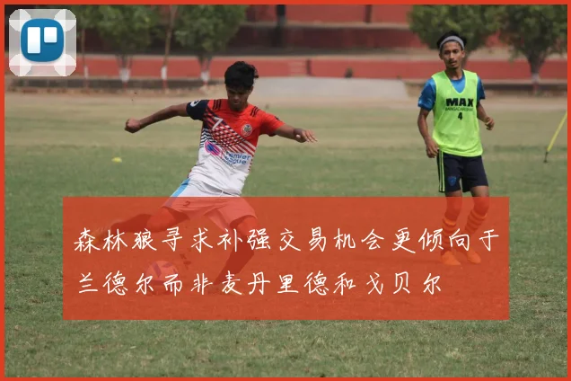 森林狼寻求补强交易机会更倾向于兰德尔而非麦丹里德和戈贝尔